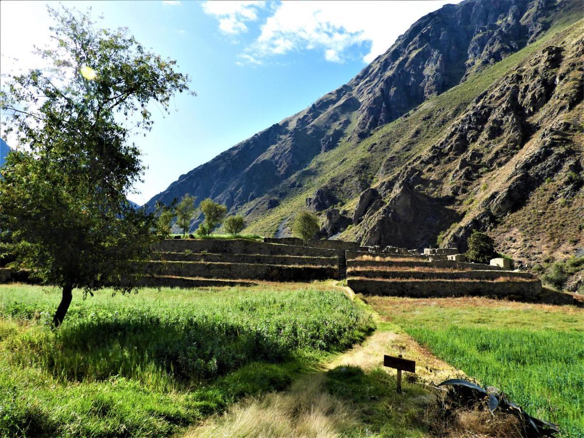 Ayllu B&B Ollantaytambo Buitenkant foto